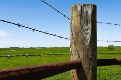 Barbed Wire Fence Repair