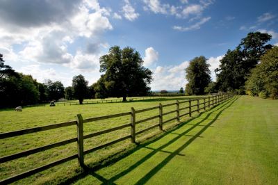 Wood Fence Repair